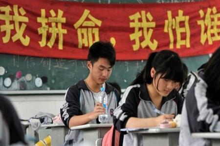 你所不了解的专转本