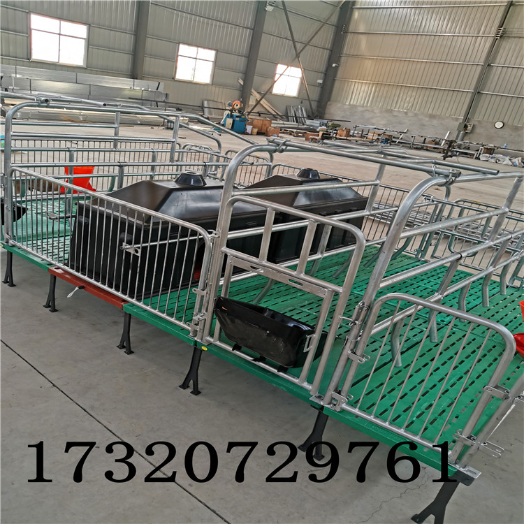 益阳市母猪产床多少钱一个