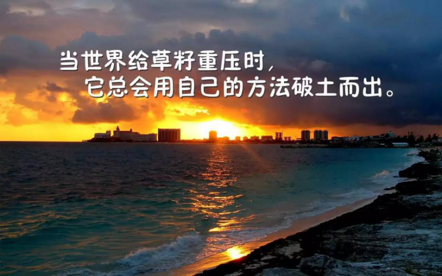 江苏五年制专转本想报考苏州大学文正学院的高职同学请看过来！
