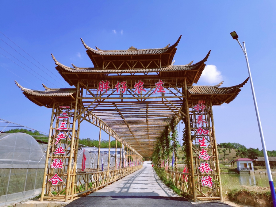 长沙农家乐一日游