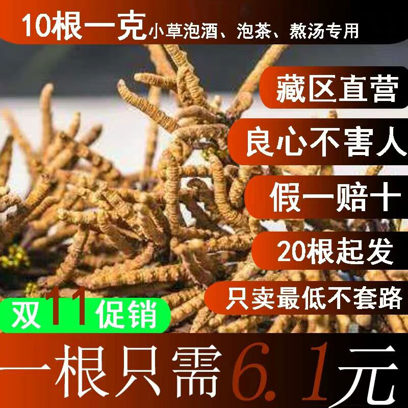 【冬虫夏草】网上几块钱一根的冬虫夏草能卖吗？