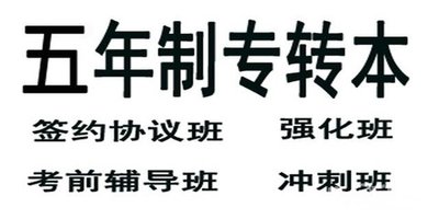 哪里有2021年动画专业五年制专转本辅导班?通过率如何?