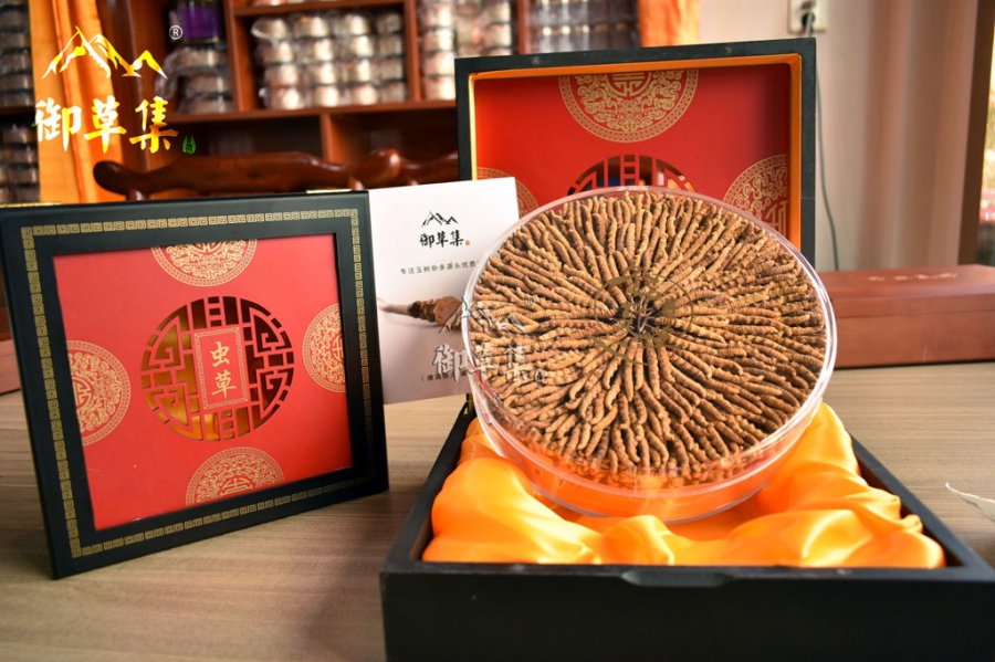 过年送礼？别为难，御草集冬虫夏草帮你解决