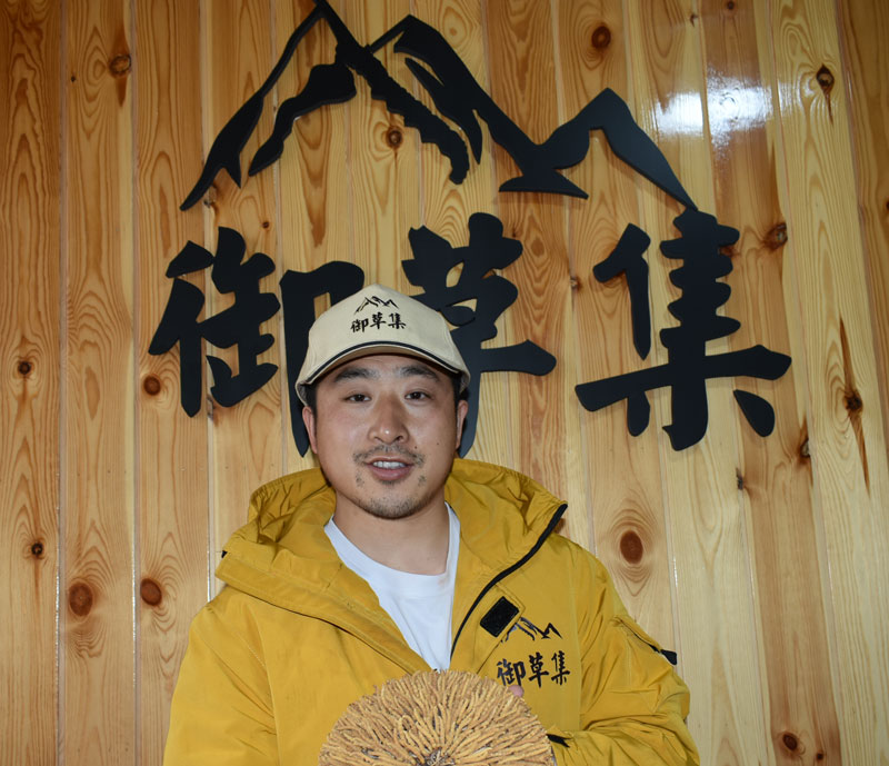 冬虫夏草价格居高不下的原因是什么?